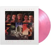 MUSIC ON VINYL Tale Spinnin' Deluxe Editie LP Rose et Violet Marbré