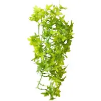 Hobby Terrano Climber Ivy Afmeting - 37 cm