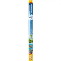 Sera - Led brilliant white 965
