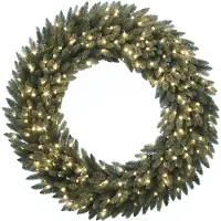 Molecule National Tree Company 31GRW24L Grande Fir Wreath LED - Ø61 cm
