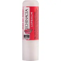Jacob Hooy Lipbalm Echinacea