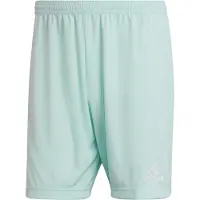 Adidas Entrada 22 Shorts Groen,Blauw S / Regular Man