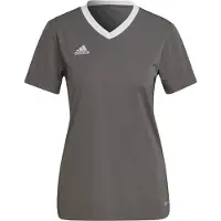 Adidas Tricot 'Entrada 22' donkergrijs / wit