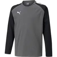 Puma Functioneel shirt 'TeamLiga' grijs / zwart / wit