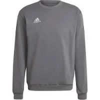 Adidas Sportsweatshirt 'Entrada 22' grijs gemêleerd / wit