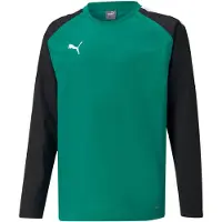 Puma Functioneel shirt 'TeamLiga' smaragd / zwart / wit