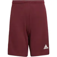 Adidas Shorts Squadra 21 - Bordeaux/Wit Kids