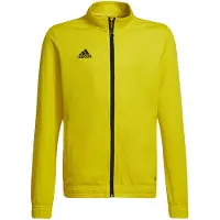 Adidas Entrada 22 Trainingsjack Kids