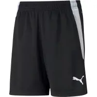 Puma Sportbroek 'TeamLiga' zwart / wit