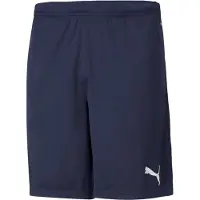 Puma Sportbroek 'Team Rise' navy / lichtgrijs
