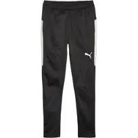 Puma Trainingsbroek individualWINTERIZED - Zwart/Grijs
