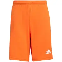 Adidas Squadra 21 Shorts Oranje 13-14 Years Jongen