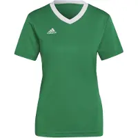 Adidas Tricot 'Entrada 22' groen / wit