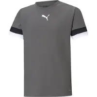 Puma Functioneel shirt 'TeamRise' donkergrijs / zwart / wit