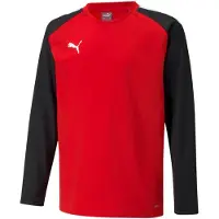 Puma Functioneel shirt 'TeamLiga' rood / zwart / wit