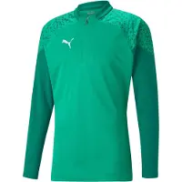 Puma Mannen, Sportief shirt, teamCUP Training 1/4 Zip Top (S), Groen, S