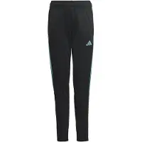 Adidas Pantalons Tiro 23 Club Training kind EU L