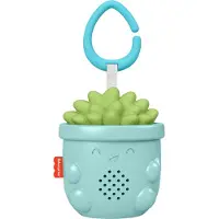 Fisher Price Soothe & Go Succulent Kinderwagen baby speelgoed muziek speeltje - Vetplant - 20x10x8cm