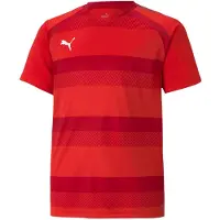 Puma Functioneel shirt 'TeamVision' rood / donkerrood / wit