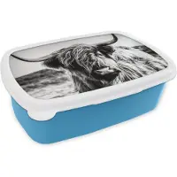 MuchoWow Broodtrommel Blauw - Lunchbox - Brooddoos - Schotse hooglander - Natuur - Koe - Zwart - Wit - 18x12x6 cm - Kinderen - Jongen