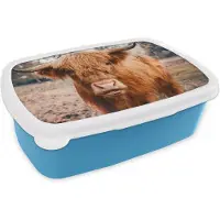 MuchoWow Broodtrommel Blauw - Lunchbox - Brooddoos - Koe- Schotse hooglander - Hoorns - Bruin - Landschap - 18x12x6 cm - Kinderen - Jongen