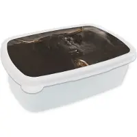 MuchoWow Broodtrommel Wit - Lunchbox - Brooddoos - Schotse hooglander - Goud - Koebel - Hoorns - Dieren - 18x12x6 cm - Volwassenen