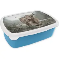 MuchoWow Broodtrommel Blauw - Lunchbox - Brooddoos - Schotse hooglander - Natuur - Herfst - Dieren - Wild - Bos - 18x12x6 cm - Kinderen - Jongen