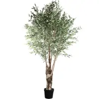 Ptmd Tree Green Olive Tree In Plastic Pot (Groen, 140x140x265cm)