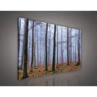 Canvas Schilderij - Bos - Bomen - Mist - Natuur - Herfst - Bladeren - Inclusief Frame - 100x75cm (lxb)