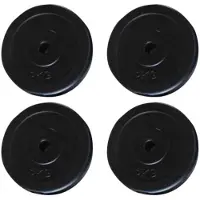 vidaXL Halterschijven 4 st 20 kg
