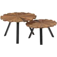 vidaXL Salontafels 2 st massief gerecycled hout