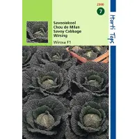 Hortitops - 2 stuks Savooiekool Wirosa F1 Hybride