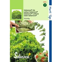 Hortitops - 2 stuks Salanova Virtuose Rz Groen wordt Vivanto RZ