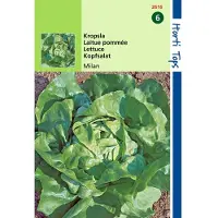 Hortitops 2 stuks - Hortitops - Kropsla Milan
