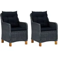 vidaXL Tuinstoelen 2 st met kussens poly rattan donkergrijs