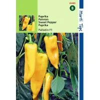 Hortitops - 2 stuks Paprika Palladio Hybride F1 Gele Koehoorn