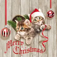 Ambiente kerst thema servetten - 40x- 33 x 33 cm - poezen/katten print - Feestservetten
