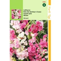 Hortitops 2 stuks - Hortitops - Lathyrus Latifolius Gemengd