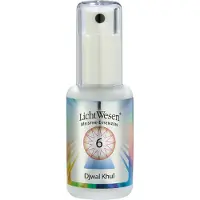 Lichtwesen Djwal khul tinctuur 6