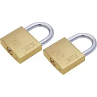 Dulimex Hangslot met 2 sleutels - 2x - 50 mm - messing - kofferslot