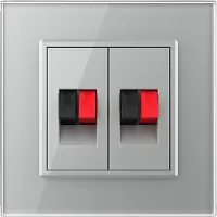 Livolo | Grijs | SR | Audio insteek | Audio insteek - Bekijk hier!