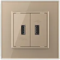 Livolo | Goud | SR | Tweevoudige USB oplader - Bekijk hier!
