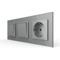 Livolo | Grijs | 2+2+SR | Aan/Uit | Wipschakelaar met wandcontactdoos
