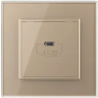 Livolo | Goud | SR | USB type C oplader - Bekijk hier!