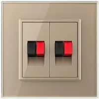 Livolo | Goud | SR | Audio insteek | Audio insteek - Bekijk hier!