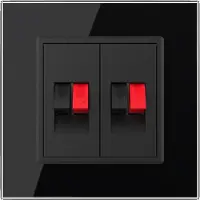 Livolo | Zwart | SR | Audio insteek | Audio insteek - Bekijk hier!