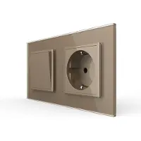 Livolo | Goud | 2+SR | Aan/Uit | Wipschakelaar met wandcontactdoos -