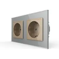 Livolo Wandcontactdoos | Grijs/Goud | 2-Voudig Stopcontact | Bekijk hier!
