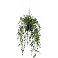 Driesprong Collection Zijdeplant Hangplant met pot Buxus kunstplant