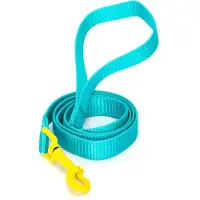 Nobleza Riem voor puppy - Maat L - Lengte 120 cm - Honden riem - Riem hond - Fluorescerend - Nylon - Mint geel